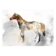 Fototapeta - koń mustang ognisty rumak